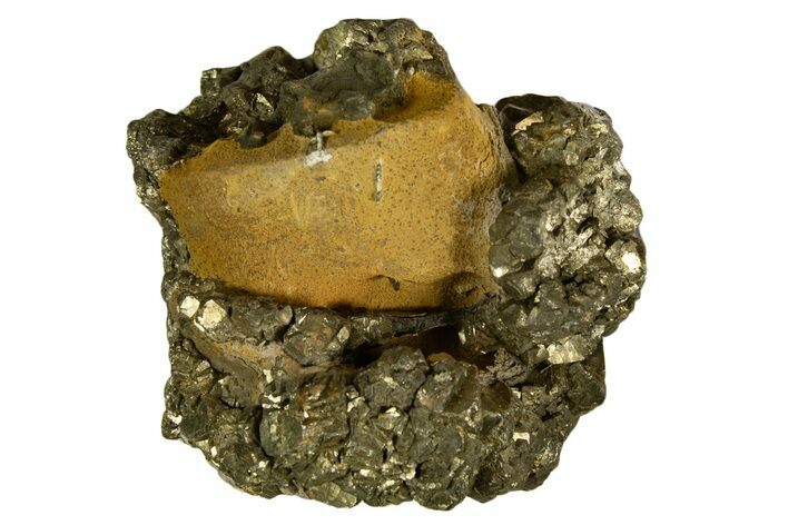 Golden Pyrite on Limonite Clay - Pakistan #337951